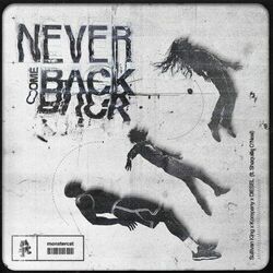 Cover of Never Come Back