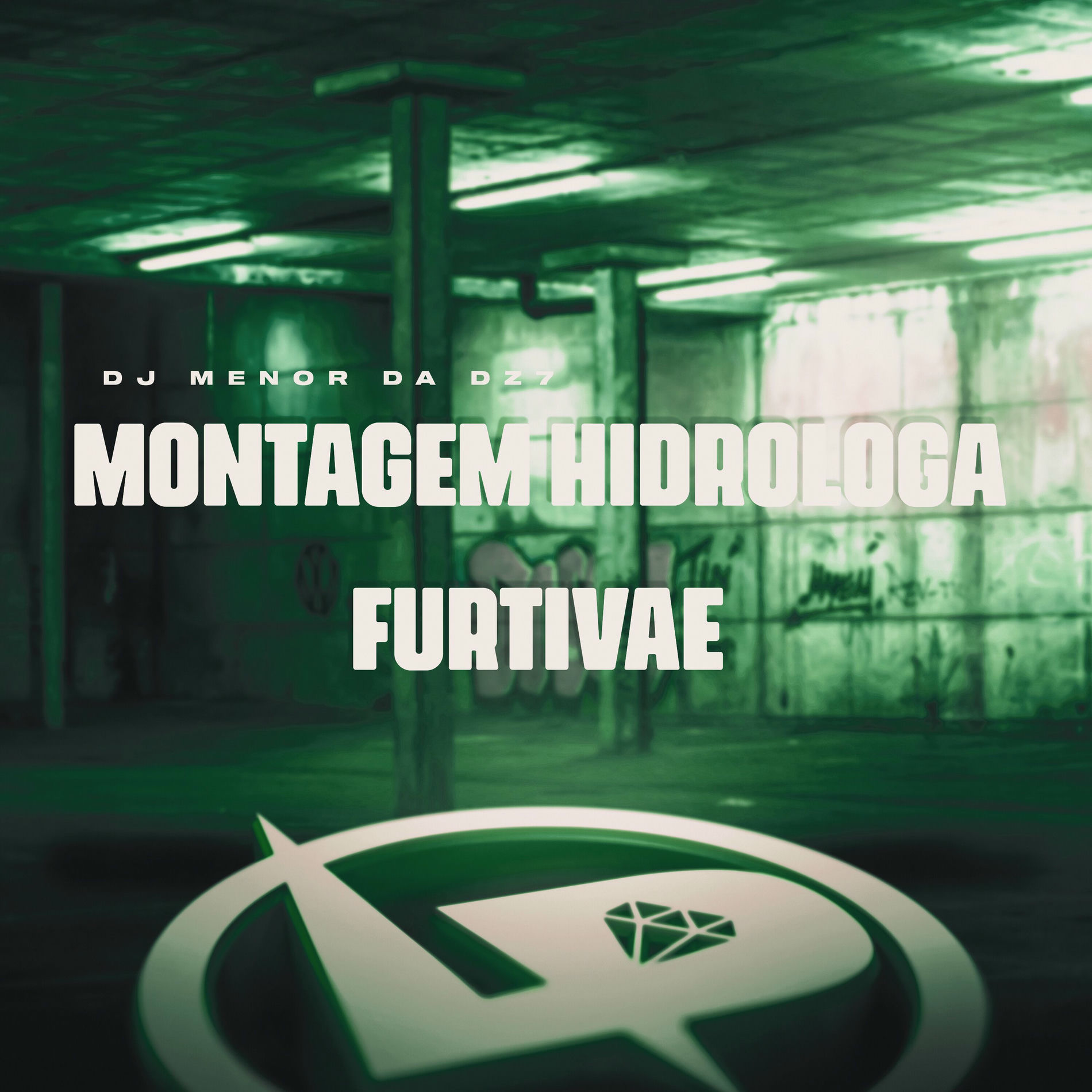 Album cover of Montagem Hidróloga Furtiva