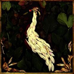 Cover of Fortunate Fall
