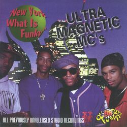 Cover of New York What Is Funky