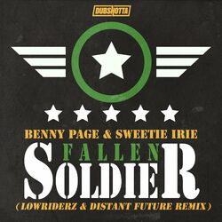Cover of Fallen Soldier