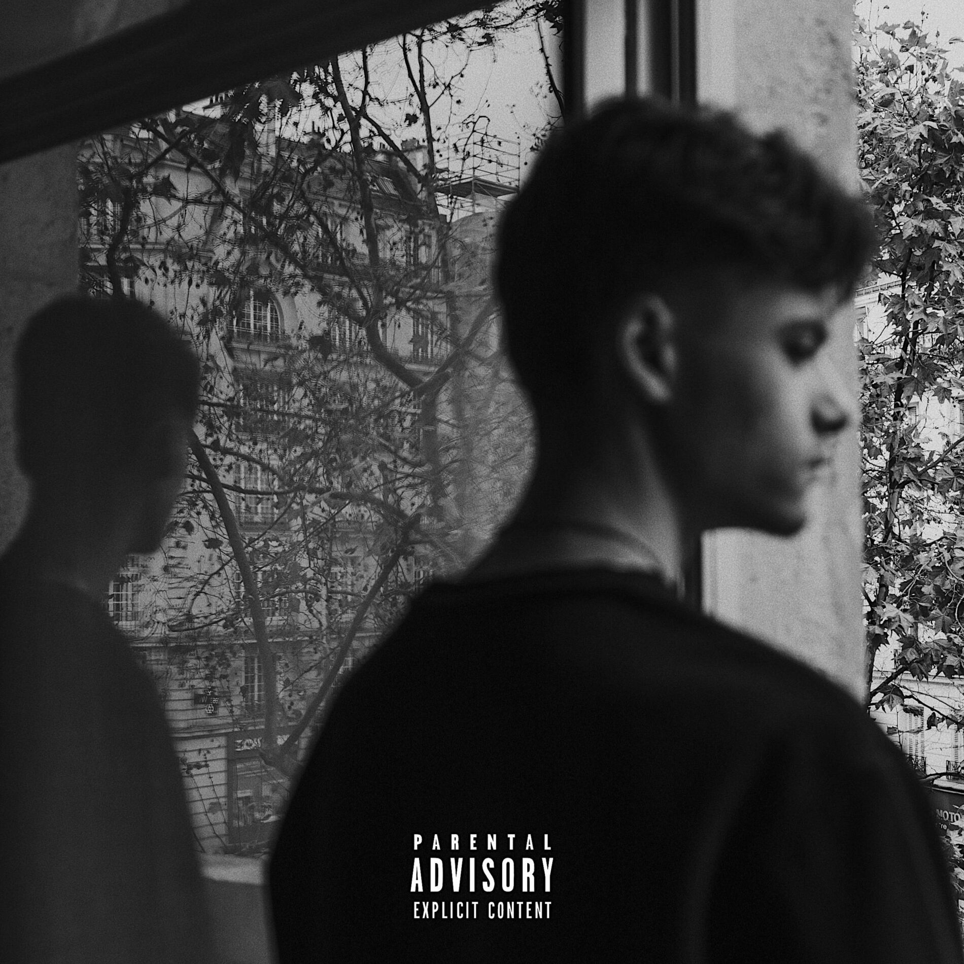 Album cover of À l'agonie