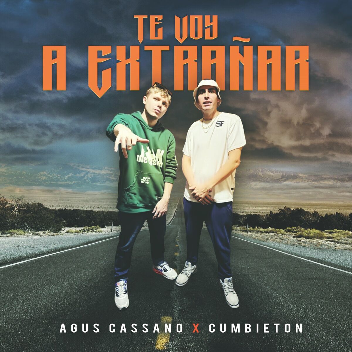 Album cover of Te voy a extrañar