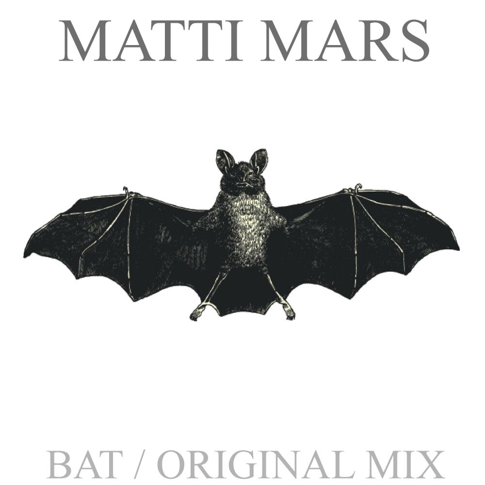 Picture of Bat