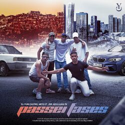 Cover of Passei Fases