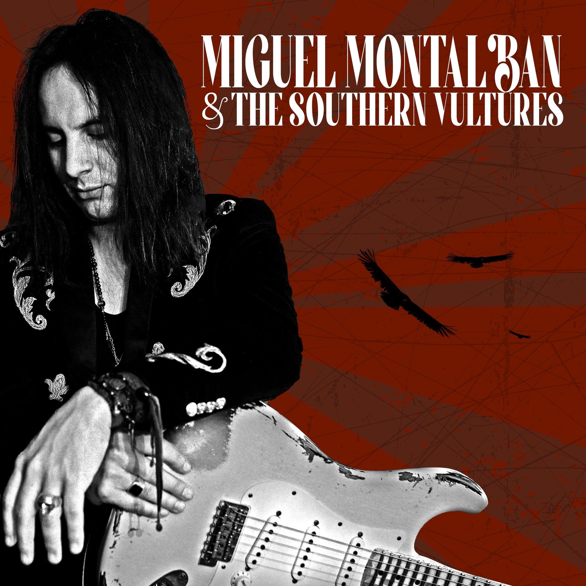 Album cover of And the Southern Vultures