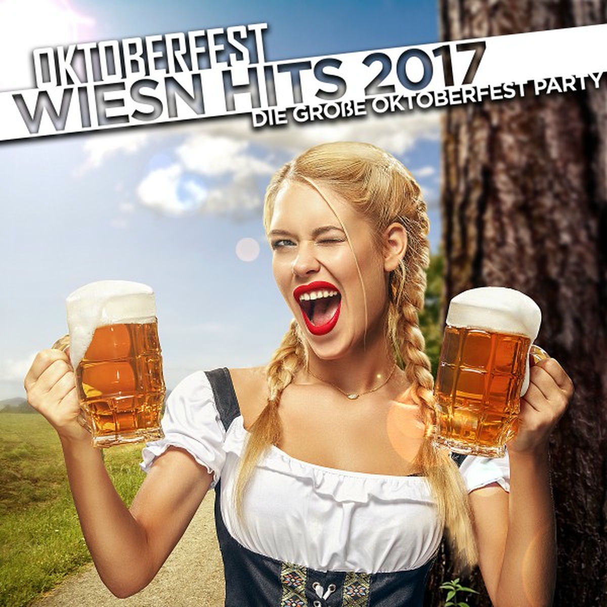 Album cover of Oktoberfest Wiesn Hits 2017 - Die große Oktoberfest Party