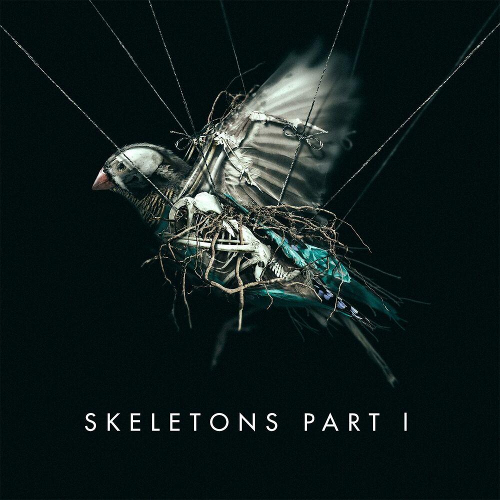Picture of Skeletons: Part 1