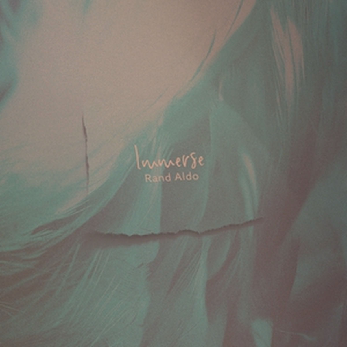 Album cover of Immerse