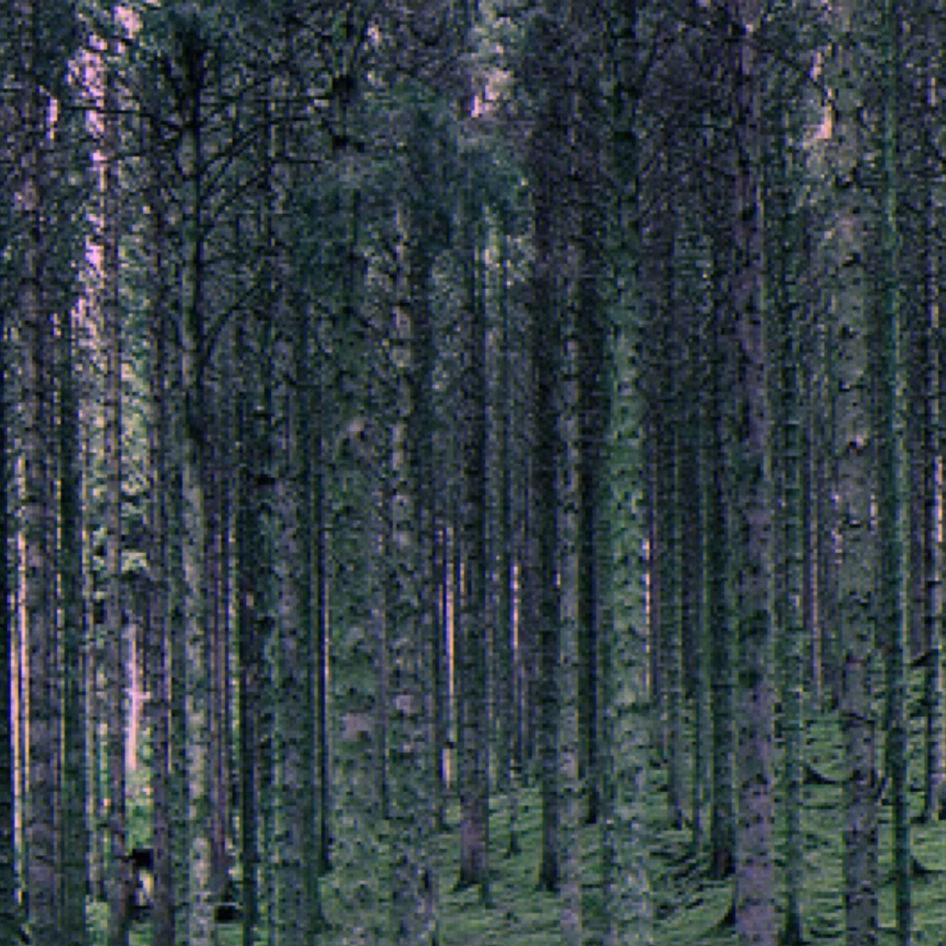 Album cover of colors