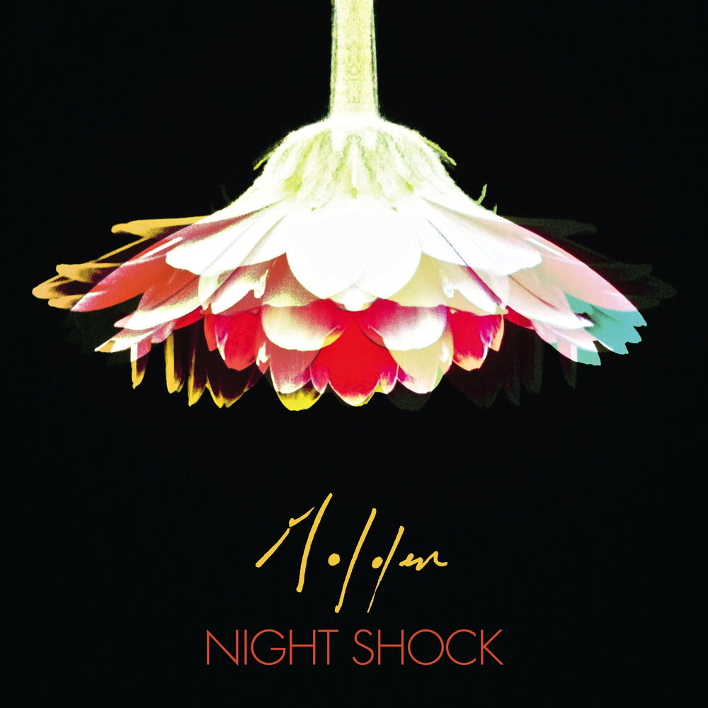Picture of Night Shock