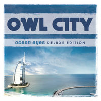 CDまとめ売 Blue ブルーノマーズ　マルーン5 エドシーラン　OWLCITY Album CDs Owl City for sale | eBay
