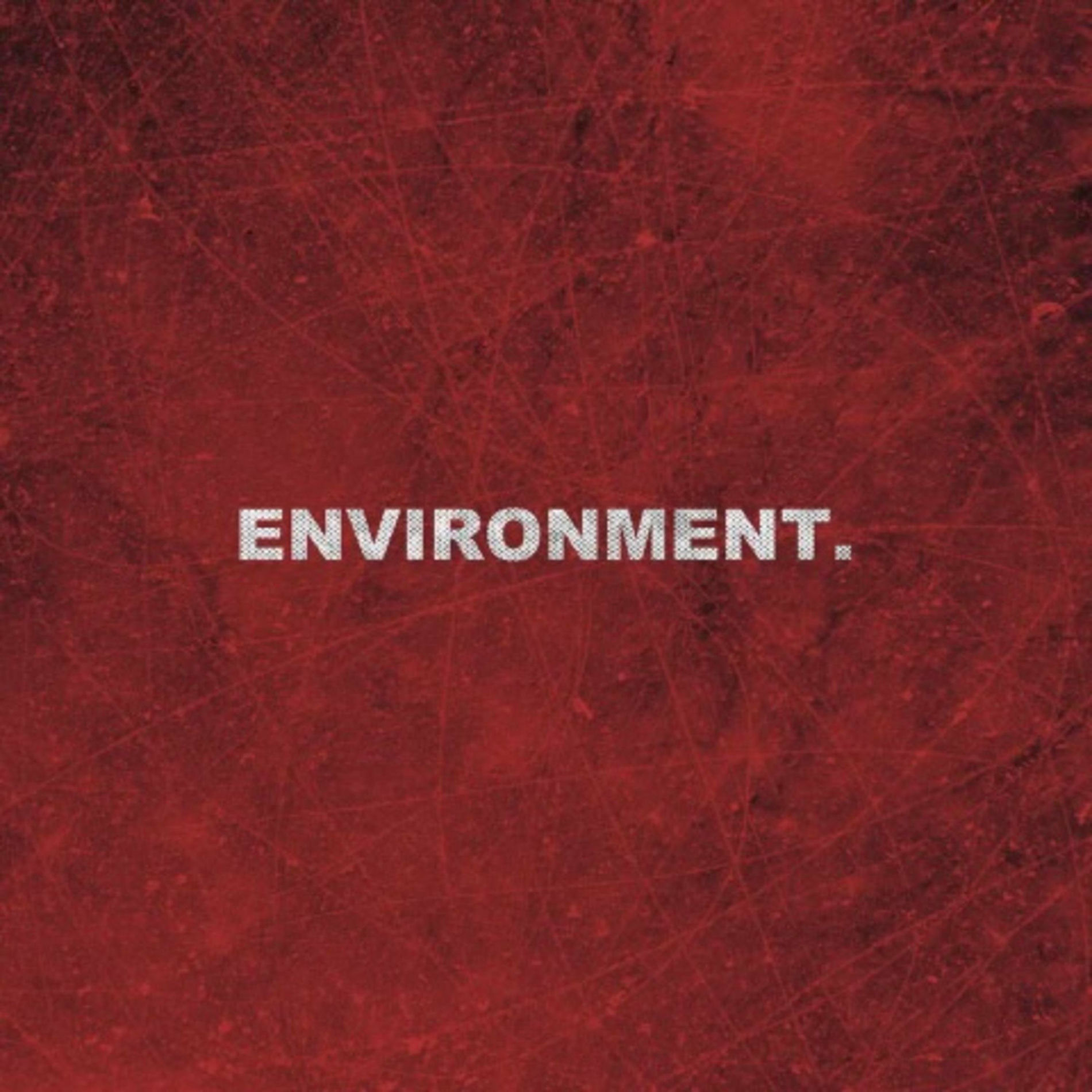 Album cover of Environment