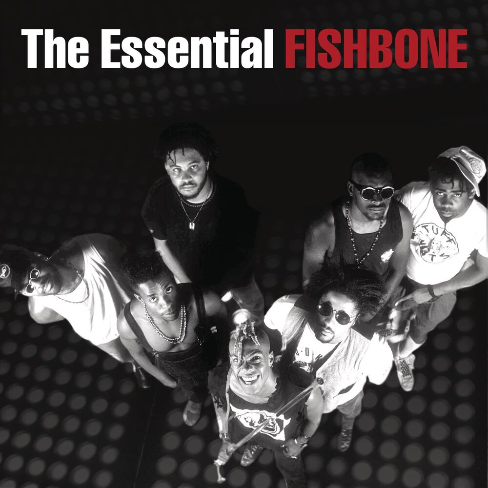 Picture of The Essential Fishbone