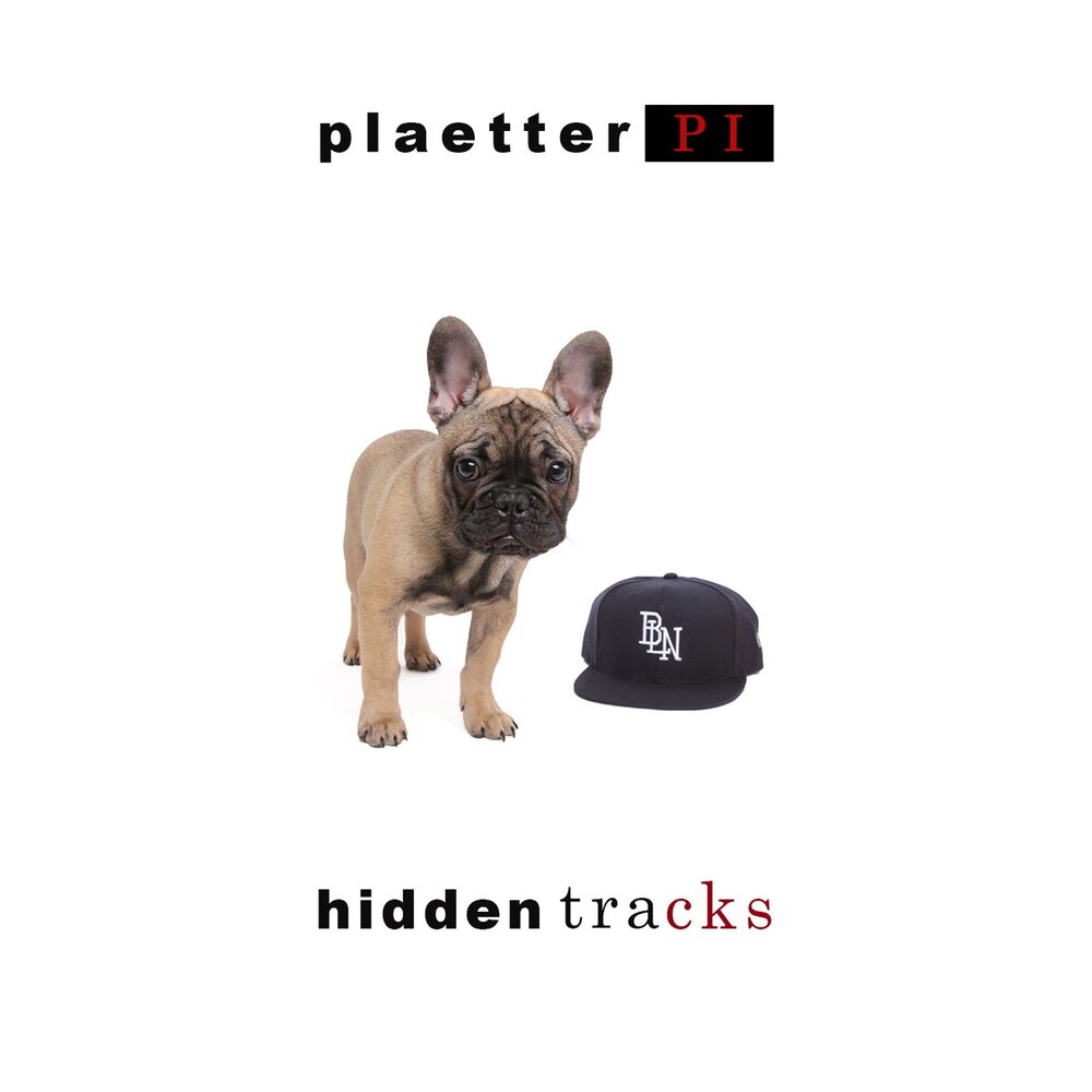 Picture of Hidden Tracks