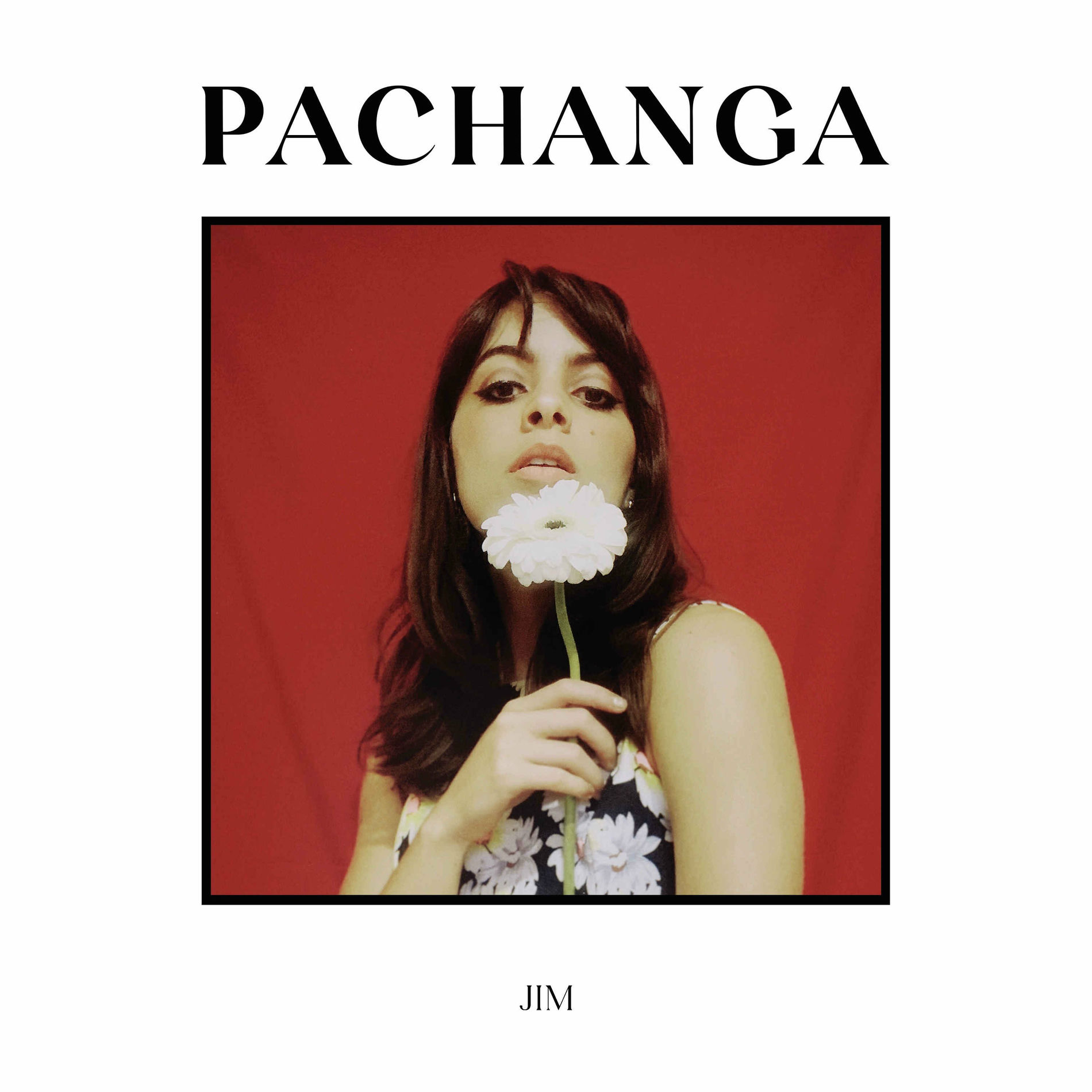Album cover of Pachanga