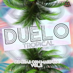 Cover of Cumbias Con Marimba Vol. 2