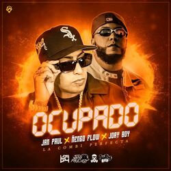 Cover of Ocupado