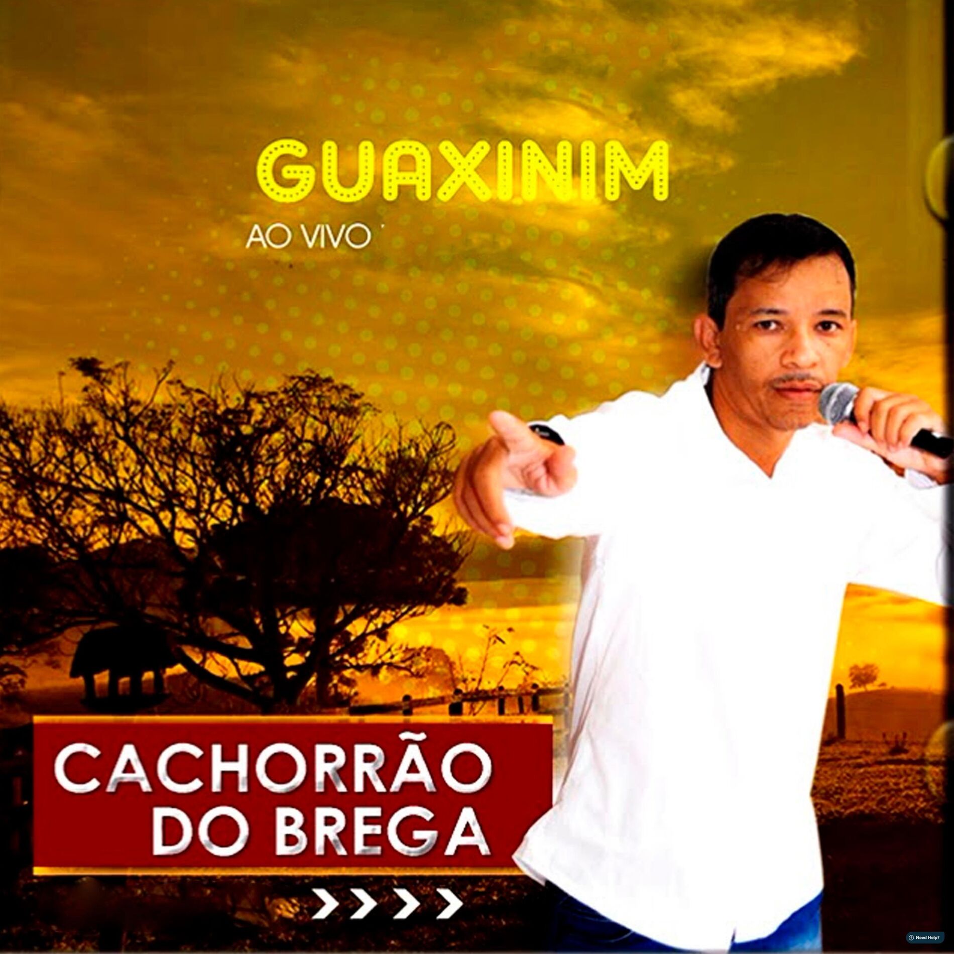 Album cover of Guaxinim - Ao Vivo