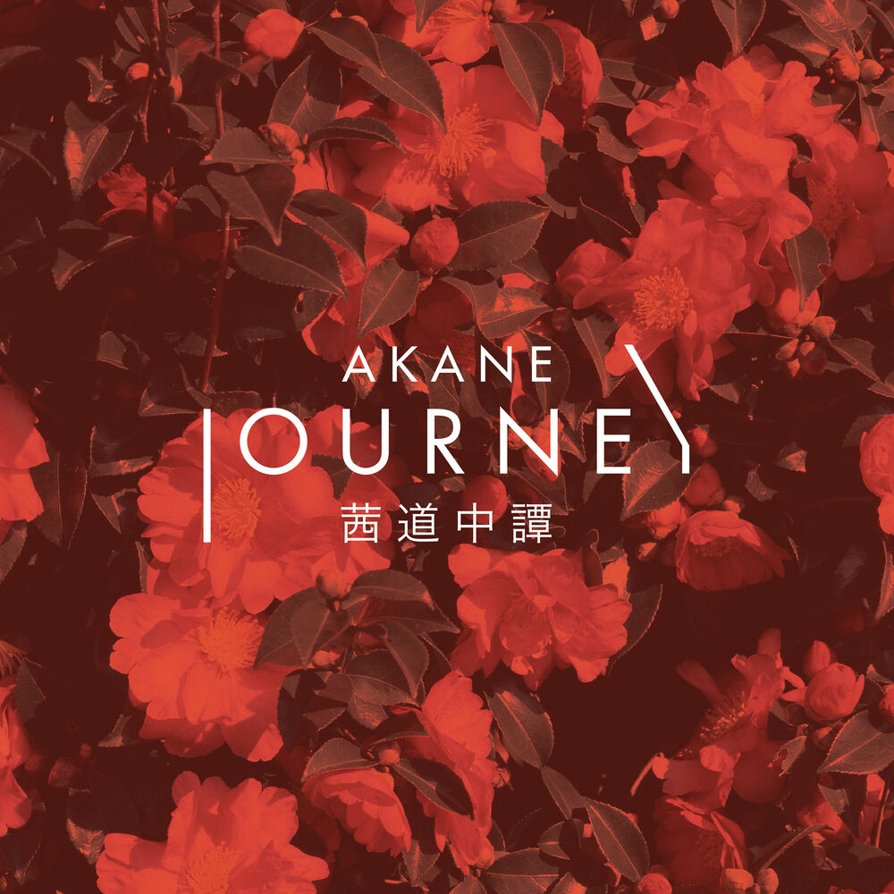 Picture of Journey