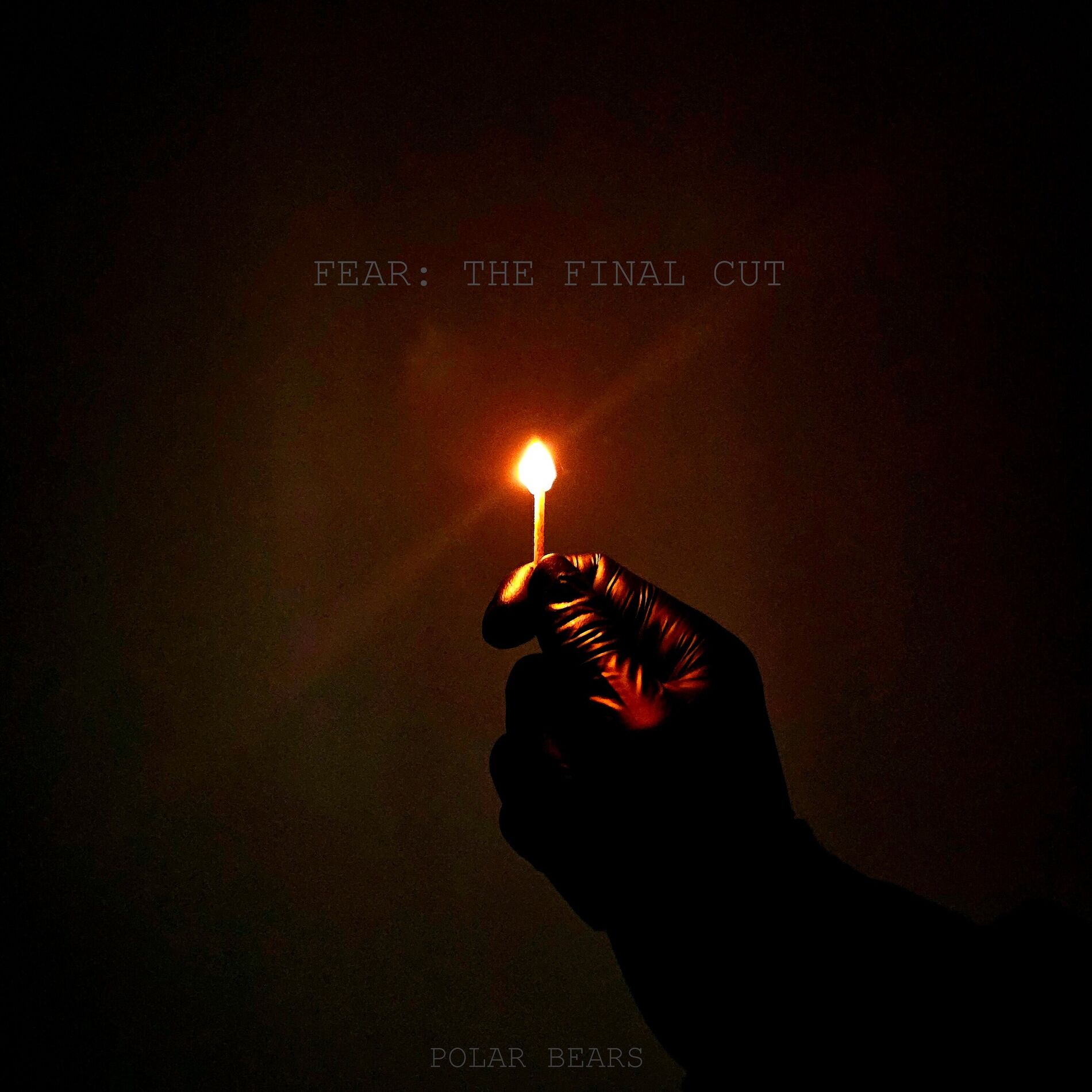 Album cover of FEAR: THE FINAL CUT
