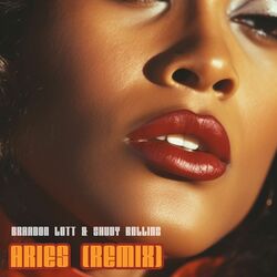 Cover of Aries Remix
