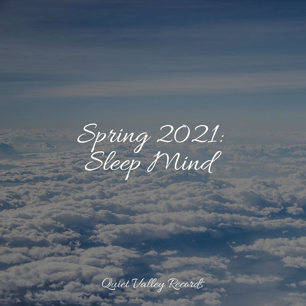 Picture of Spring 2021: Sleep Mind