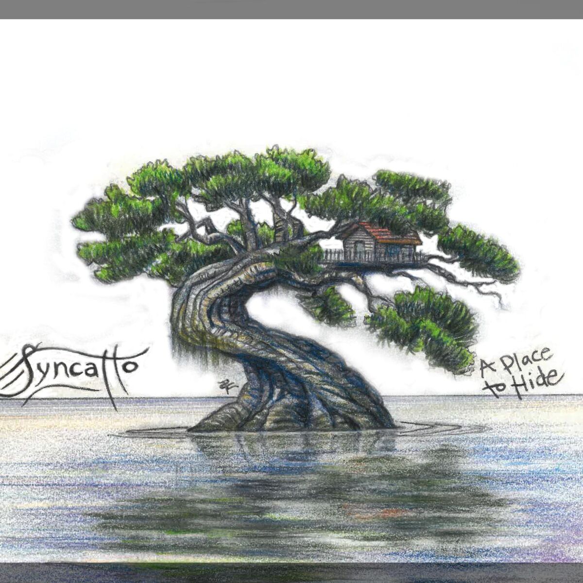Album cover of A Place to Hide