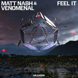 Cover of Feel It