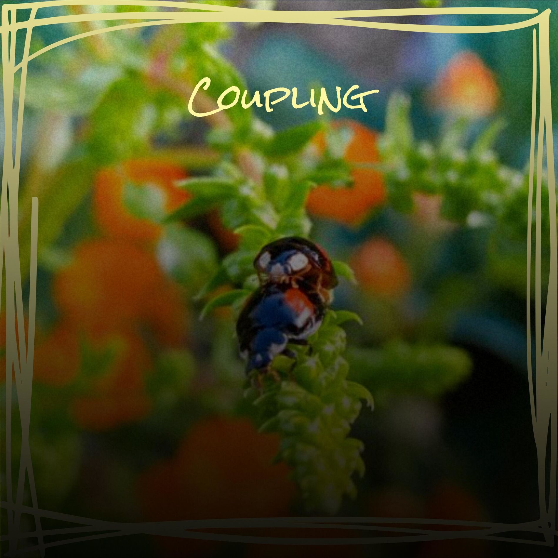 Album cover of Coupling