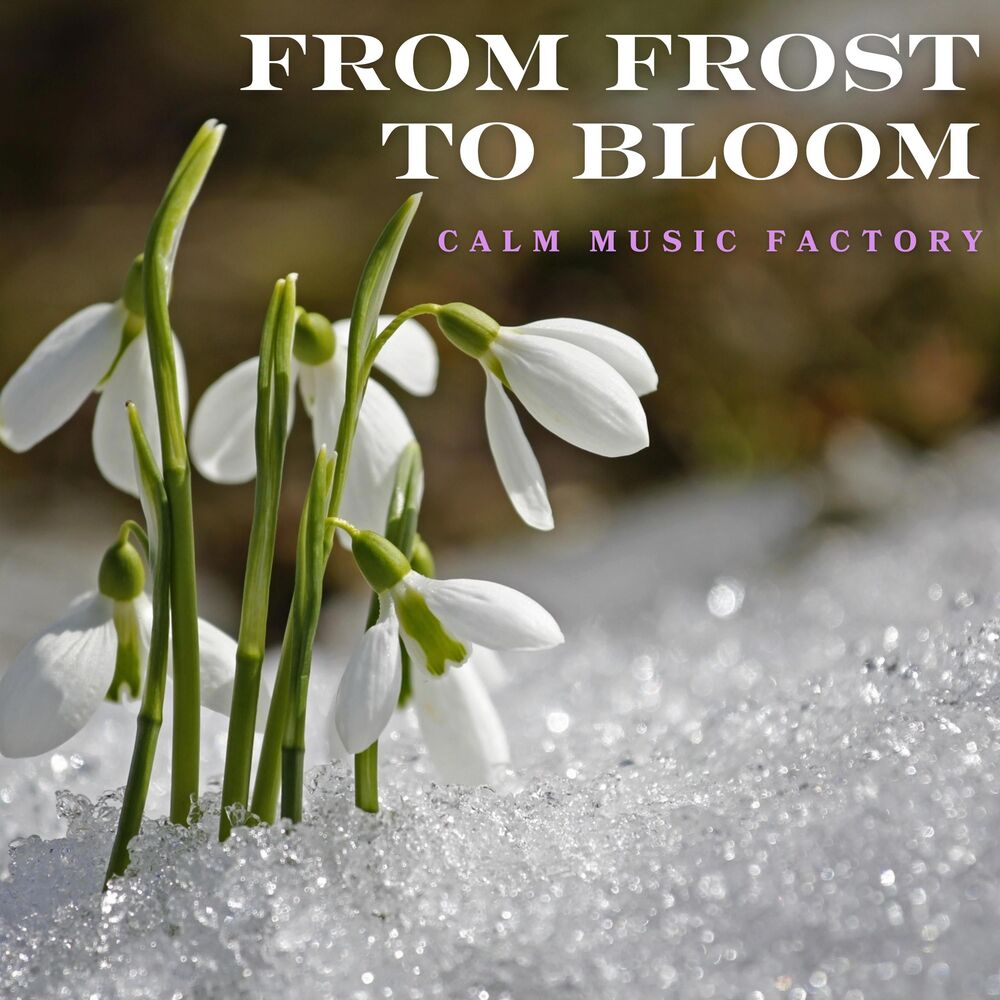 Picture of FROM FROST TO BLOOM