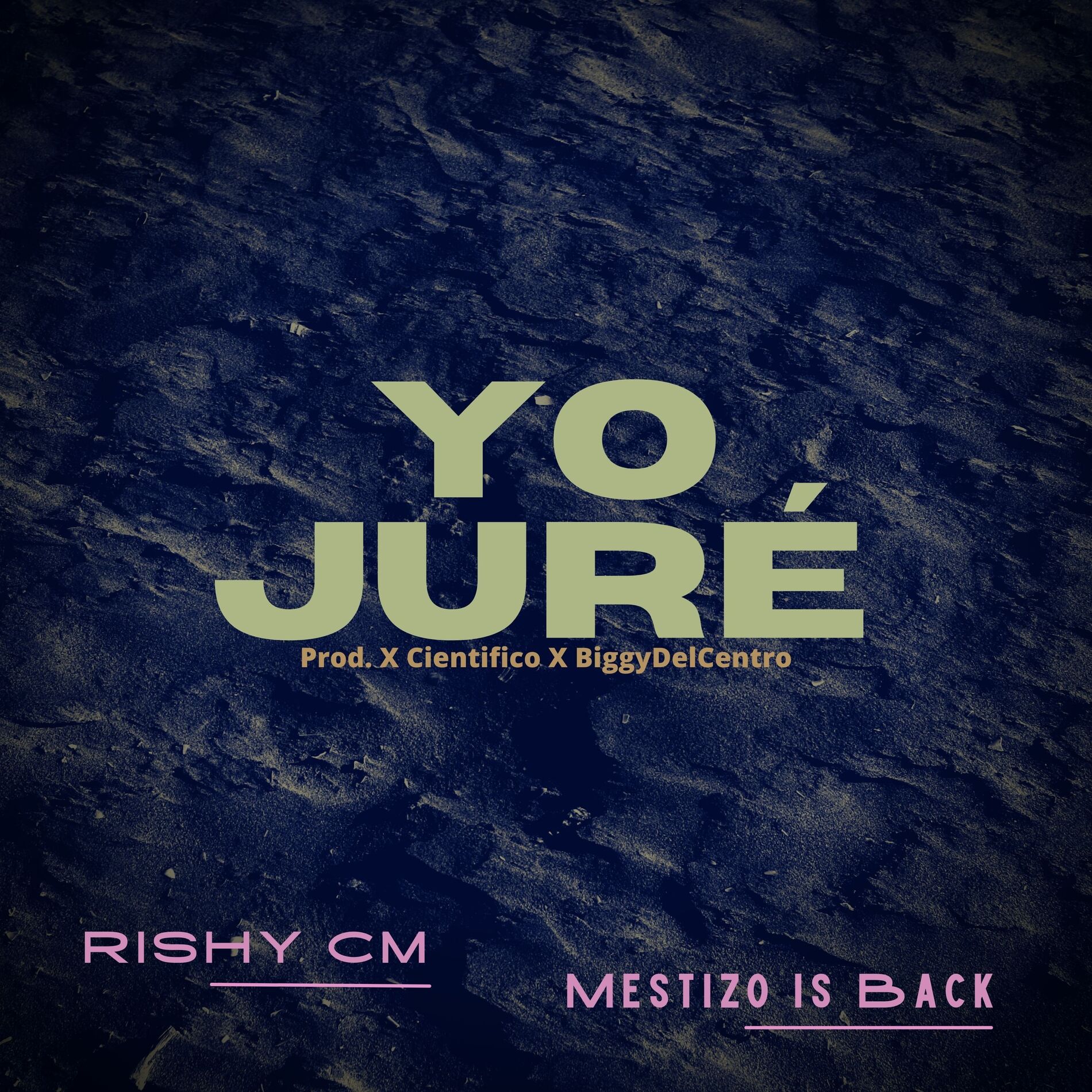Album cover of Yo Juré