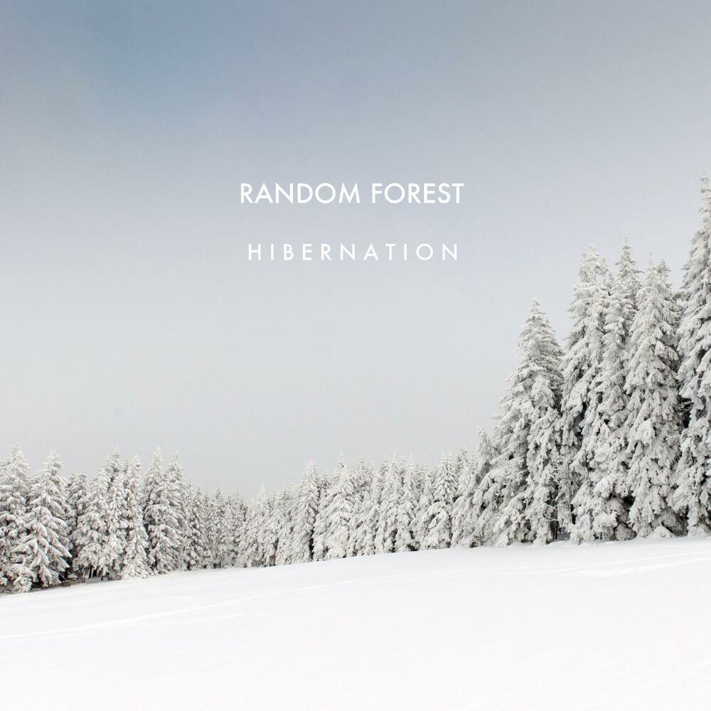 Picture of Hibernation