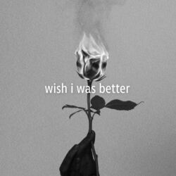 Cover of Wish I Was Better