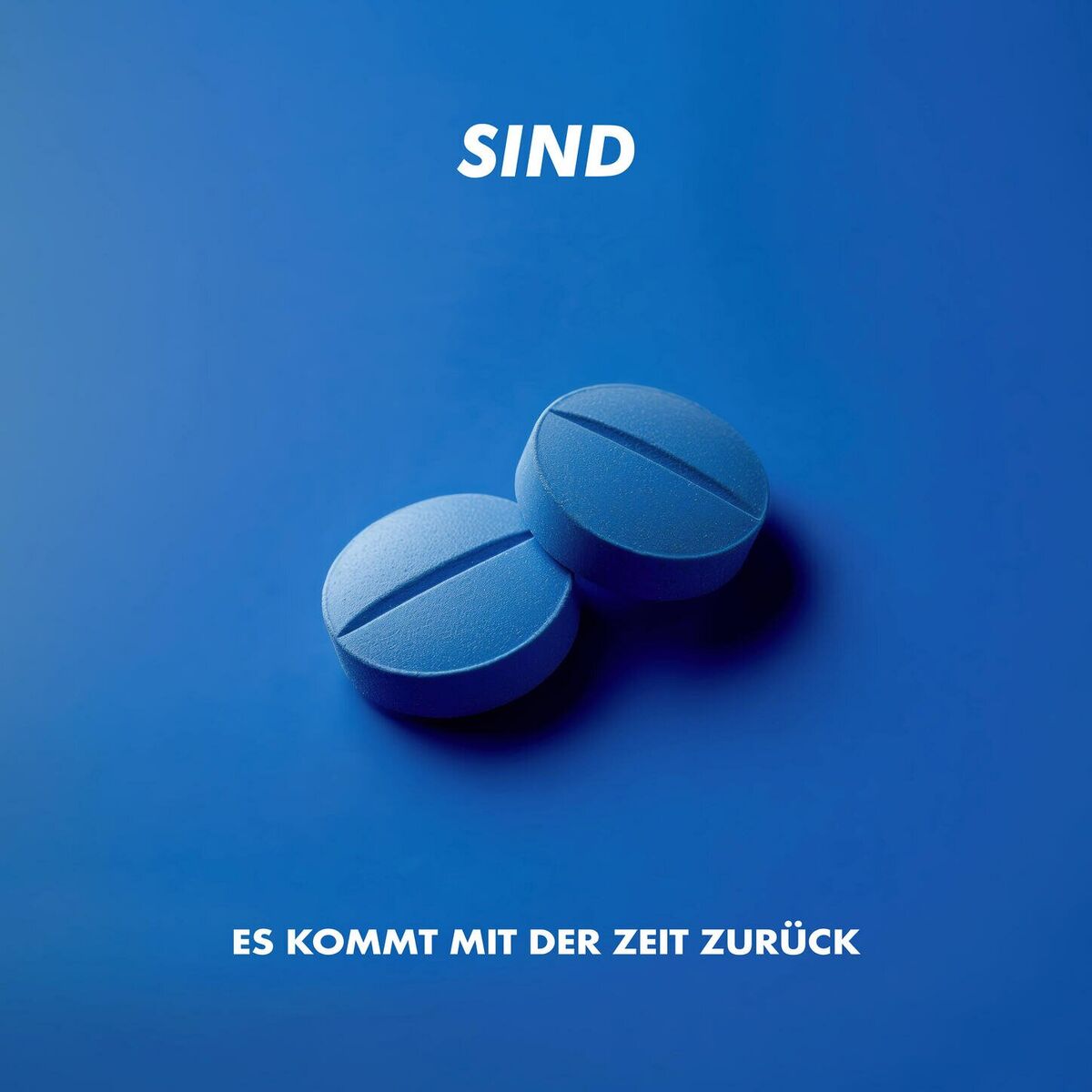 Album cover of Es kommt mit der Zeit zurück