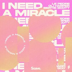 Cover of I Need a Miracle