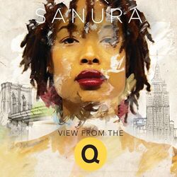 Cover of View from the Q