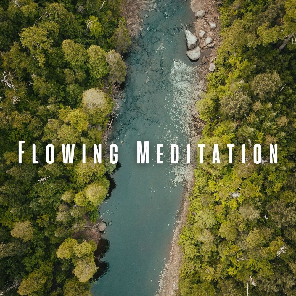 Picture of Flowing Meditation: Gentle Water Beats with Chill Music