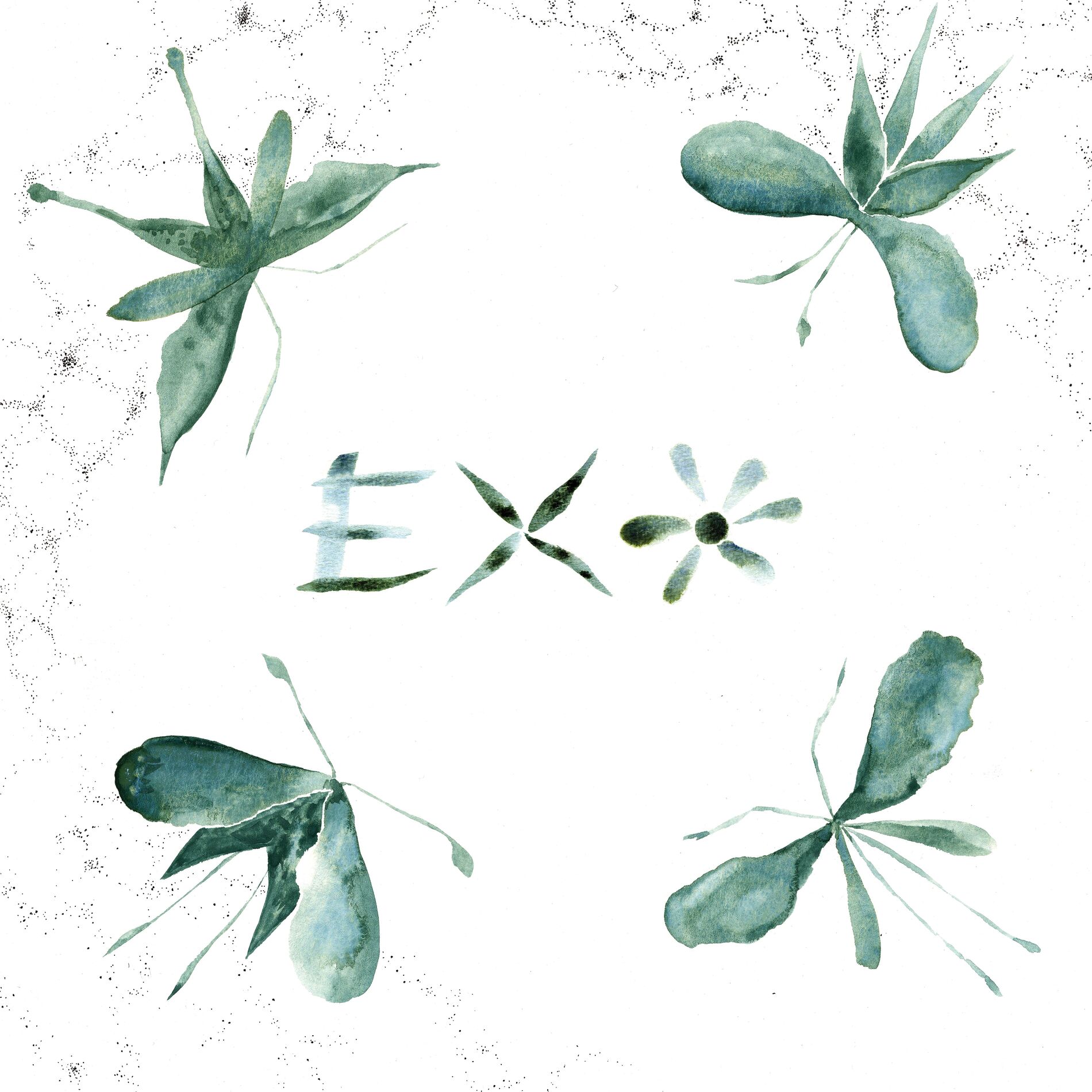 Album cover of Butterfly