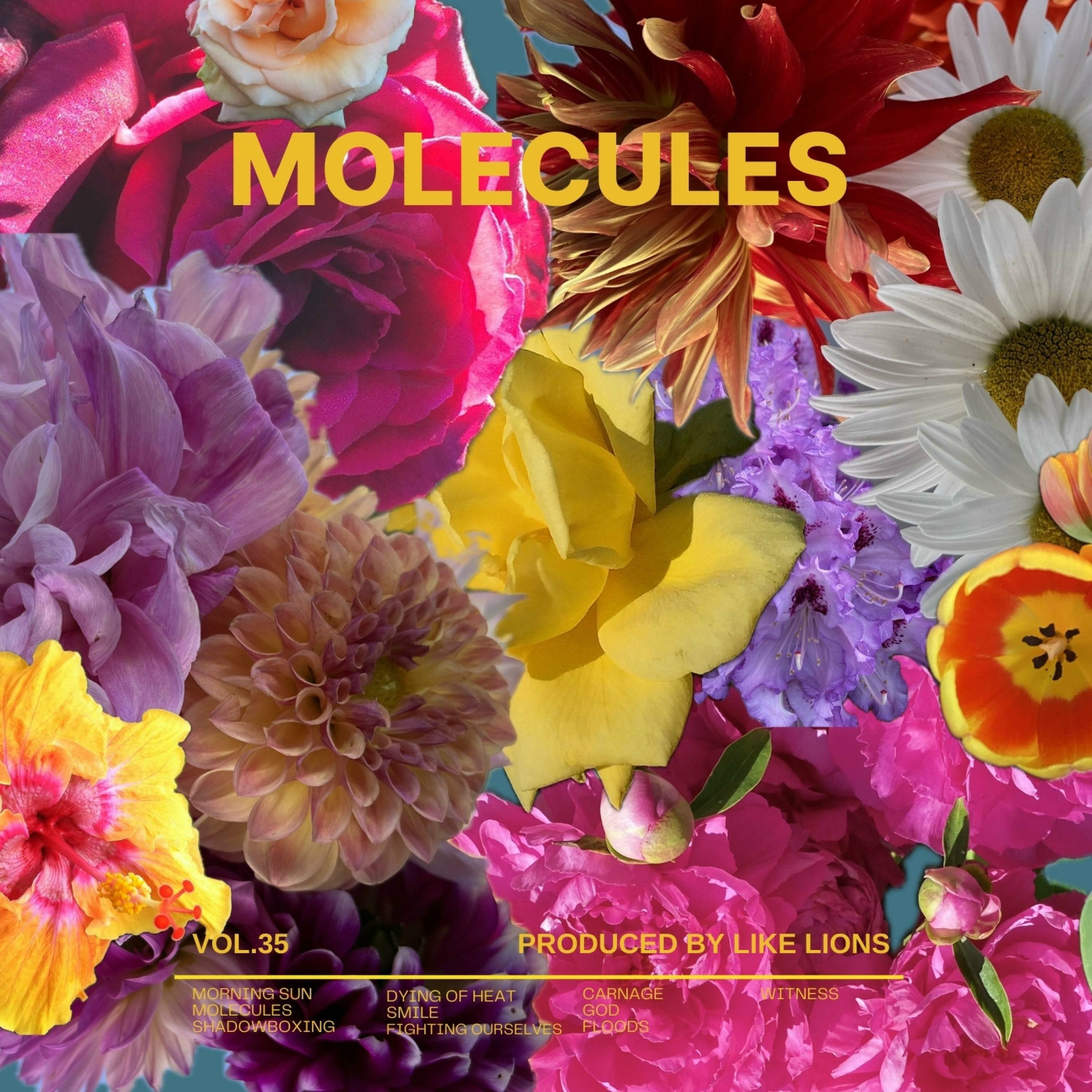 Album cover of Molecules