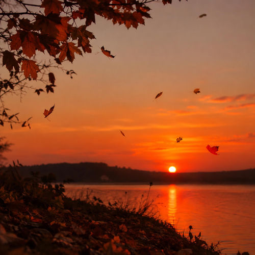 Automne