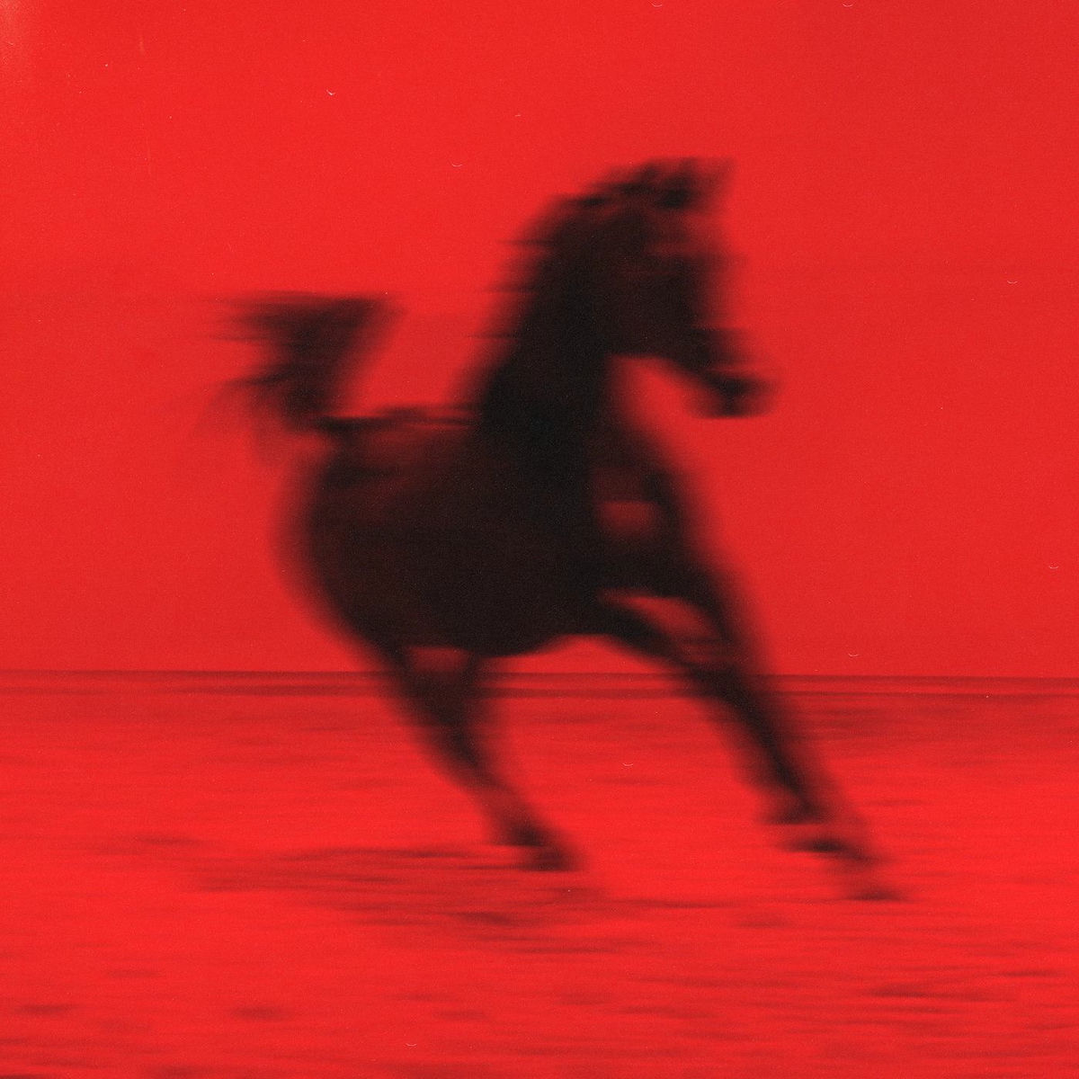 Album cover of Crush, TX