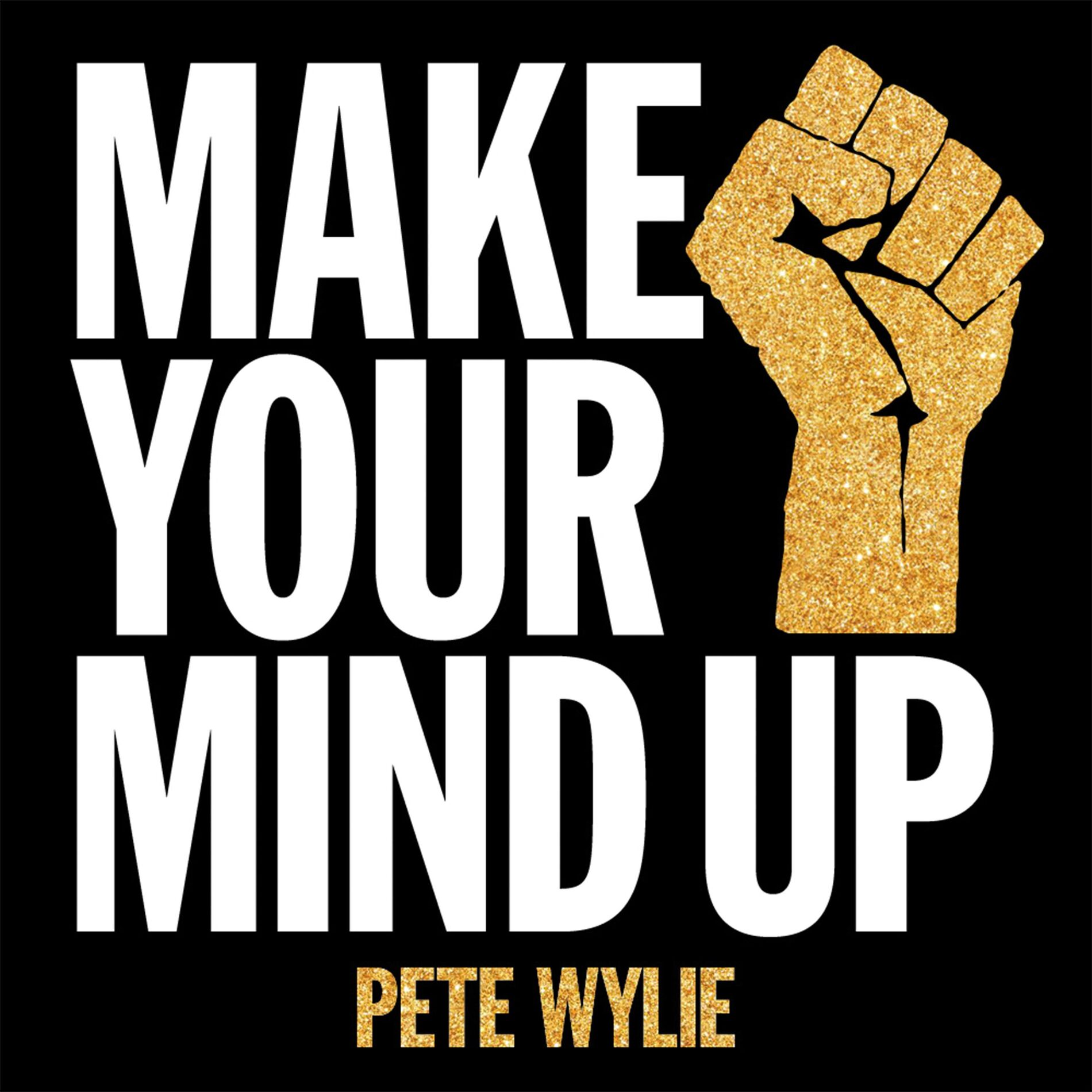 Album cover of Make Your Mind Up