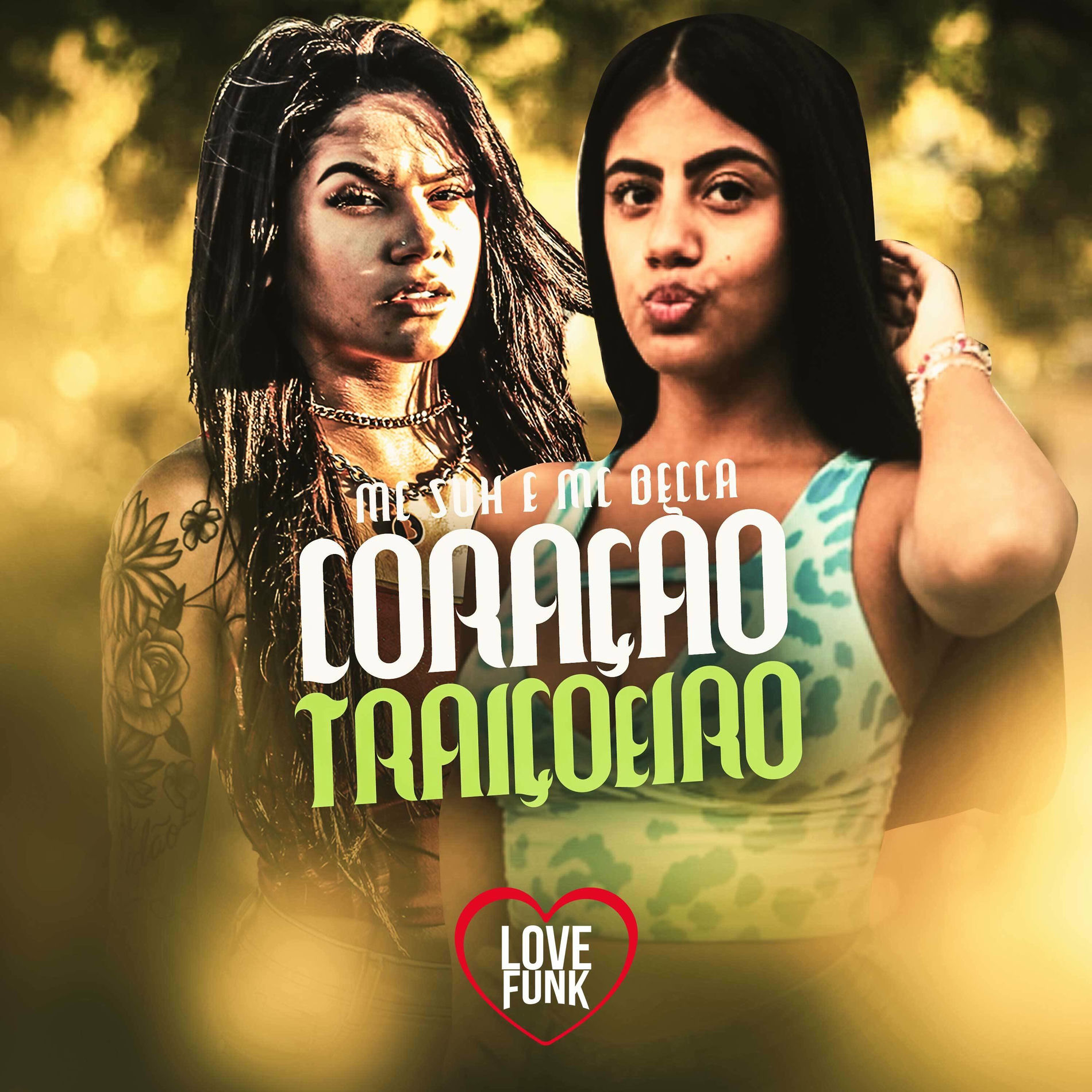 Album cover of Coração Traiçoeiro