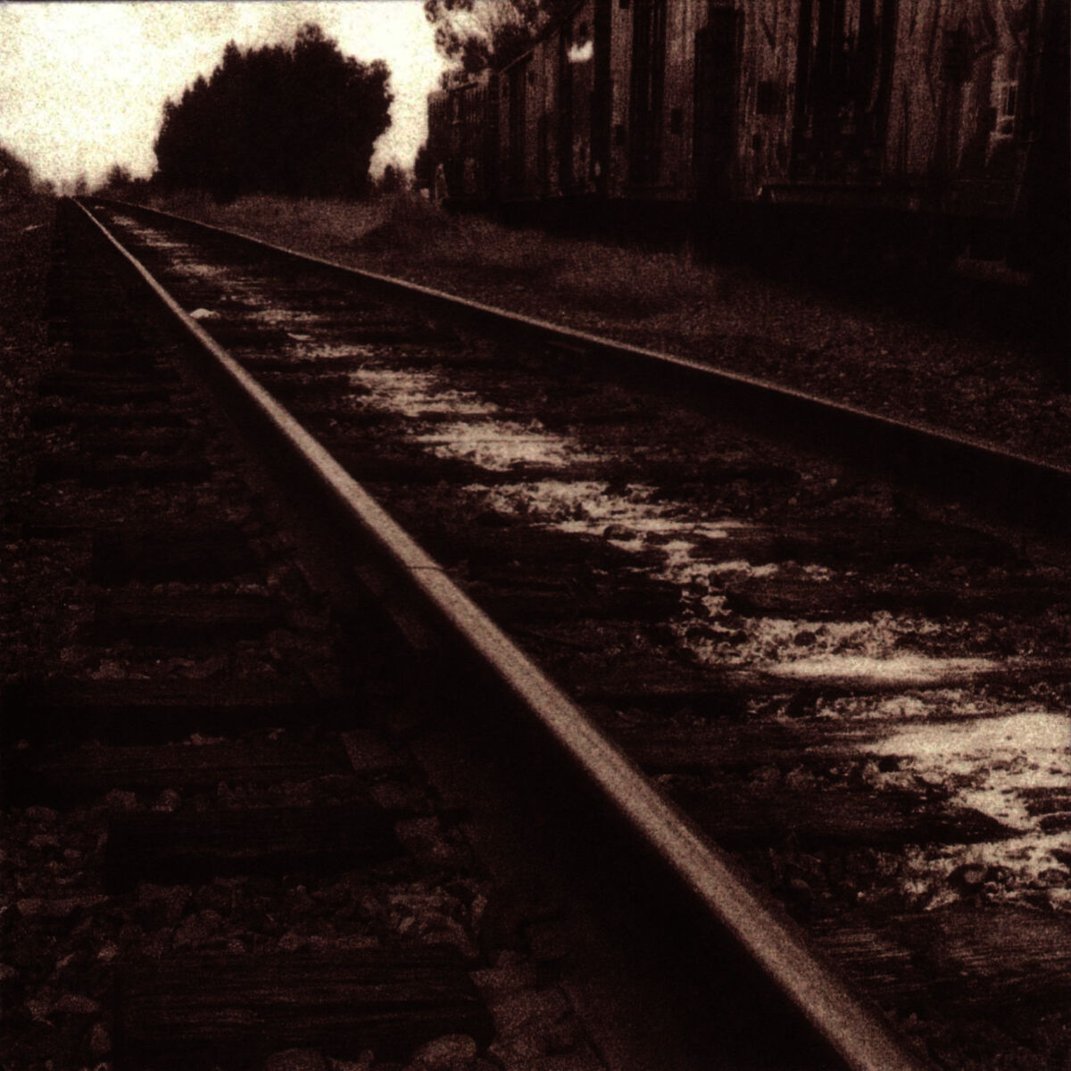 Album cover of Up To My Neck In You