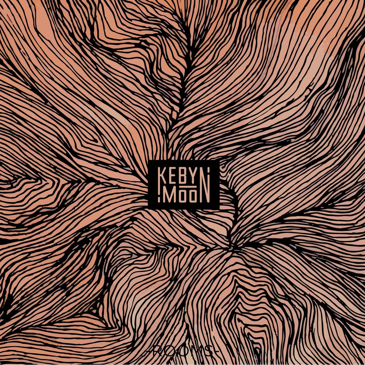 Album cover of Rooms