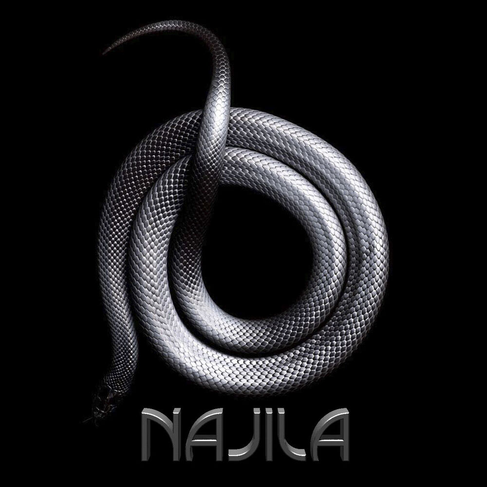 Picture of Najila
