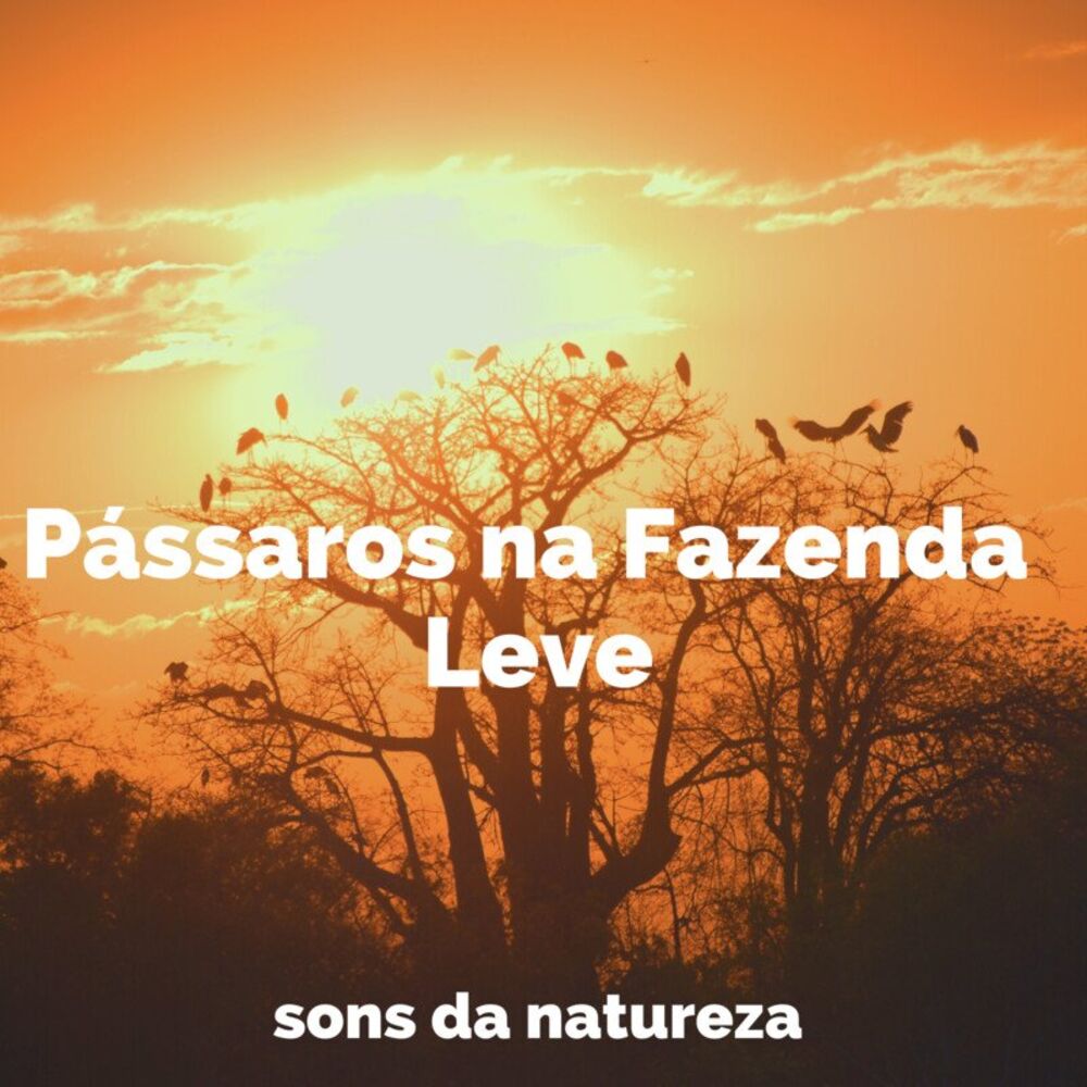 Picture of Pássaros na Fazenda Leve