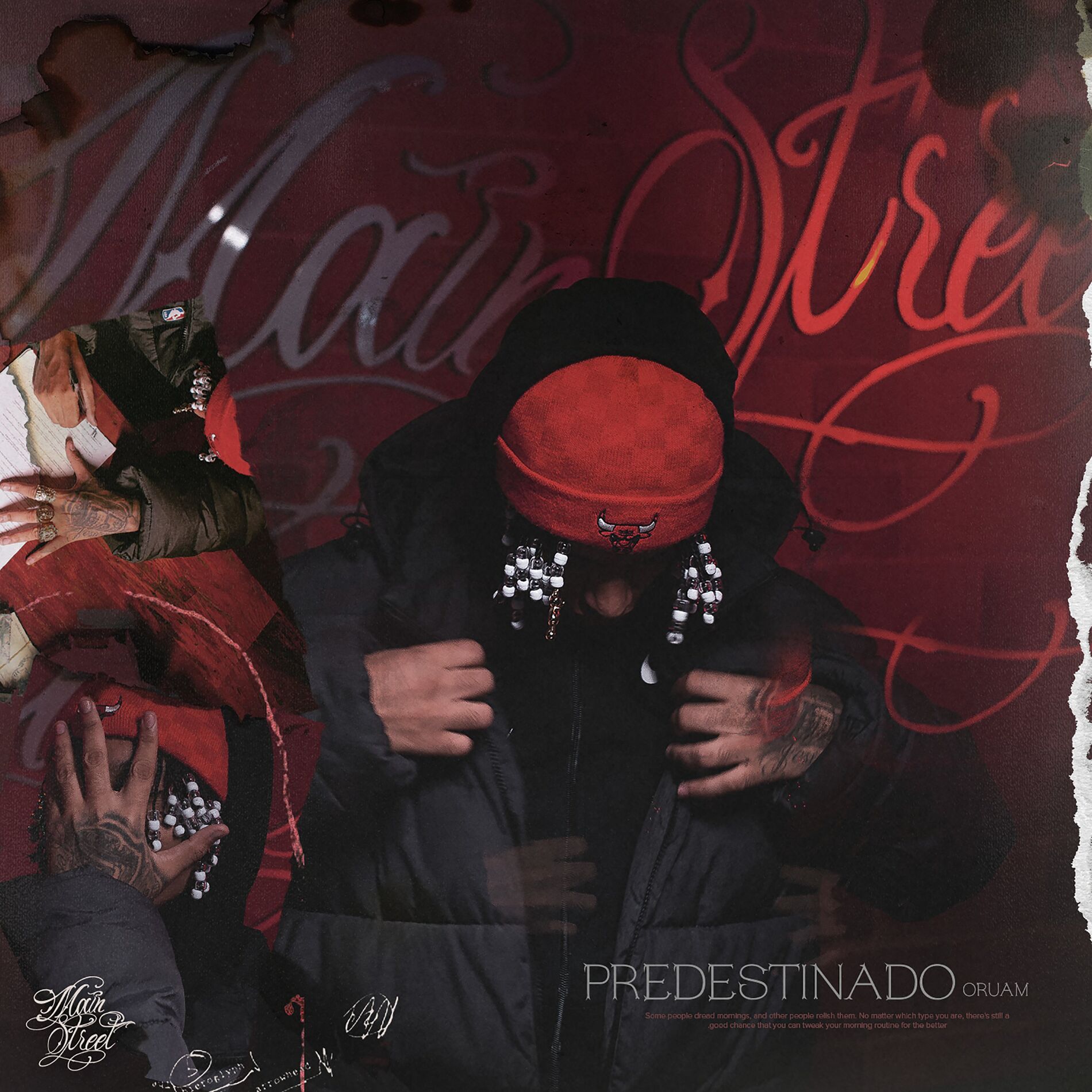 Album cover of Predestinado
