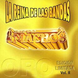 Cover of La reina de las bandas Vol. II